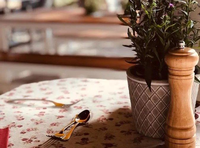 Πανσιόν Restaurant Waldcafe 3*